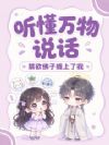 ��������˵�����������Ӳ�������